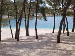 Dalmatia Apartments - One Bedroom Apartment with Balcony 3