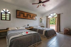 Casa Bravo - Garden Oasis Steps From La Ropa