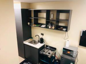 Casty homes arise apartments