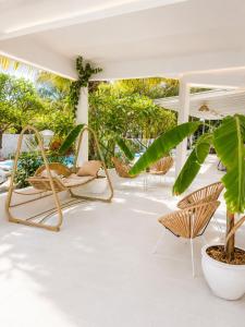 Cocoon Signature