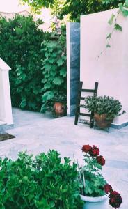 Little Paradise in Siviri