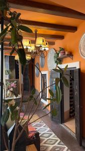 Riad Chocolat