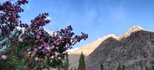 Grand Orchard resort Leh