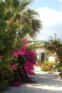 Violetta Hotel Heraklio Greece