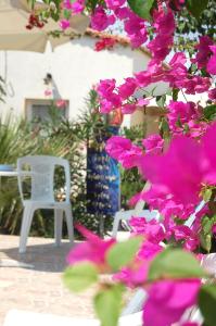 Violetta Hotel Heraklio Greece