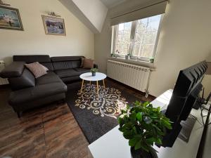 Dream apartments