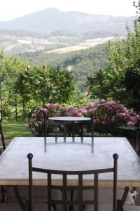 Holiday Home Das Olivenhaus by Interhome