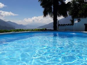 Apartment Sangiovese by Interhome