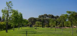 Villa ArboreA