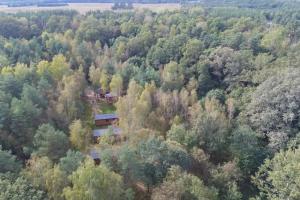 Forest&River SPA Trzebów