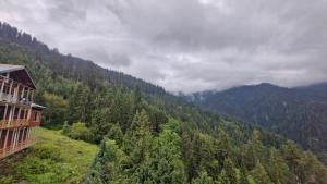 The Ki Retreat Shoja