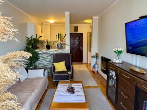 Apartman Budva Zeljka