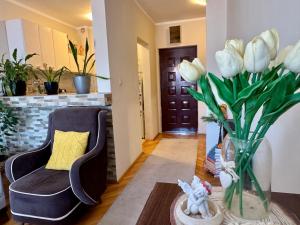 Apartman Budva Zeljka