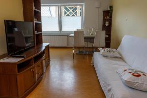 Apartma Olga