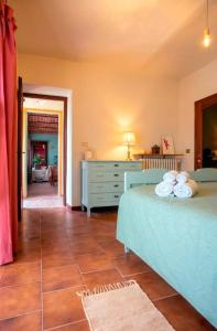 Casa di campagna nel Roero con giardino