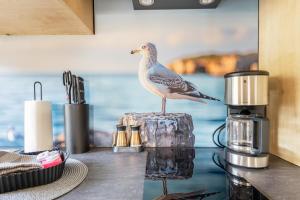 Fewotraum Müritz Möwe 5