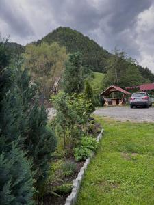Casa Damian