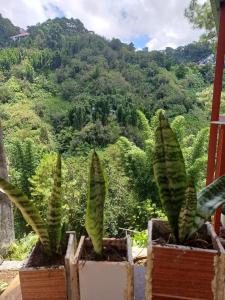 Amabels Homestay