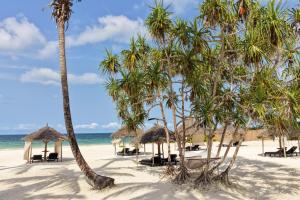 Pongwe Bay Resort