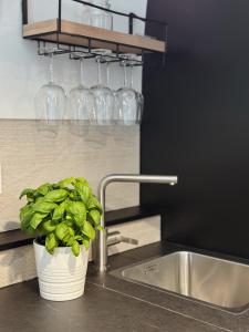 Casa Pélago - Boutique Suite