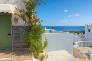 Life is Suite KORIFI-Adults Olny