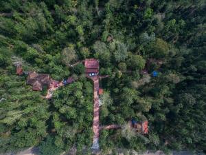 Coorg Humblenest resort
