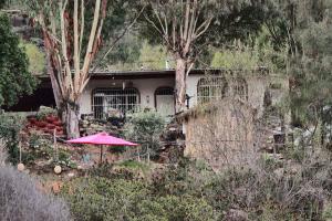 Indigo Glamping by Otium
