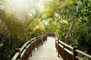 Ocean Breeze Riviera Maya