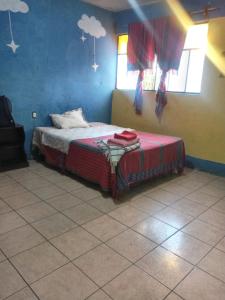 Hostal the Cats