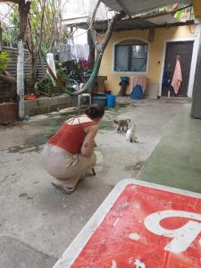 Hostal the Cats