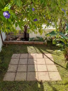 Historic 1 bedroom, garden cottage