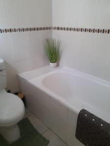 Historic 1 bedroom, garden cottage