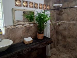 Cabaña con Jacuzzi Privado en El Peñol El palmar lodge