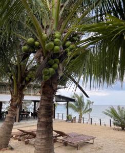 Infinity Beach Bungalows And Restaurant