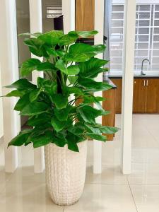 Van Homestay near beach 3 bedrooms