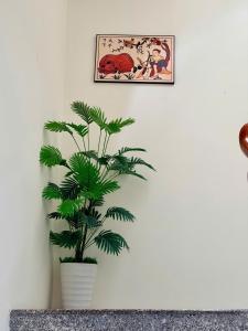 Van Homestay near beach 3 bedrooms