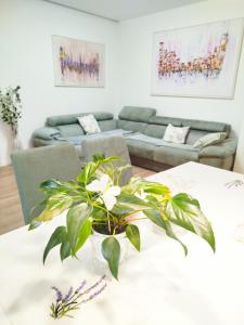 Apartman Tajči