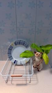 Baan sookjai