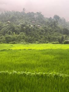 Galkot sweet dream guest house and organic kitchen