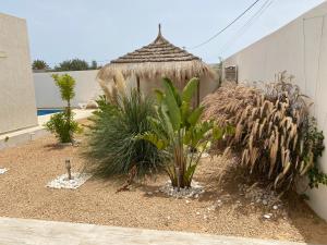 Villa Akasya Djerba Midoun