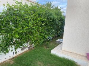 Villa Akasya Djerba Midoun