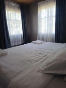 The great masai mara house