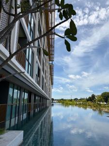 New Ozone Oasis BangTao by Metrika