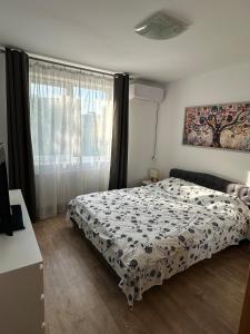 City Center Apt