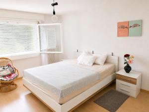 Furnished Apartment