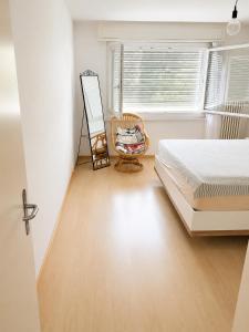 Furnished Apartment