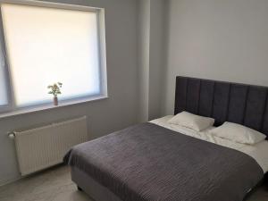 ApartamentPremium cu un dormitor separat și living