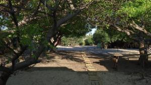 Villa avec piscine privée sur la plage situé sur la presquile de majunga
