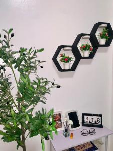 LRS Homestay