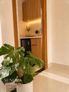 P302 Sunora Homestay